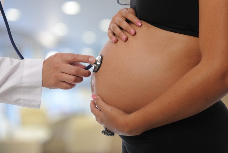 Charting the IVF Voyage: A Thorough Handbook