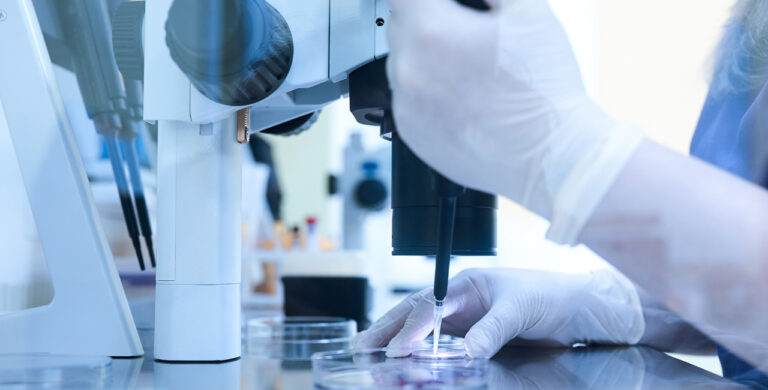Advances in IVF Technology and Their Impact on Success Rates