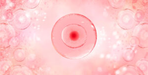 egg cell